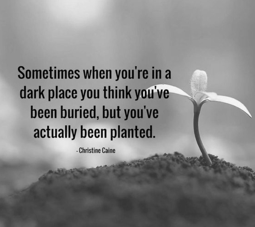 i thought i was buried until i found out i was planted